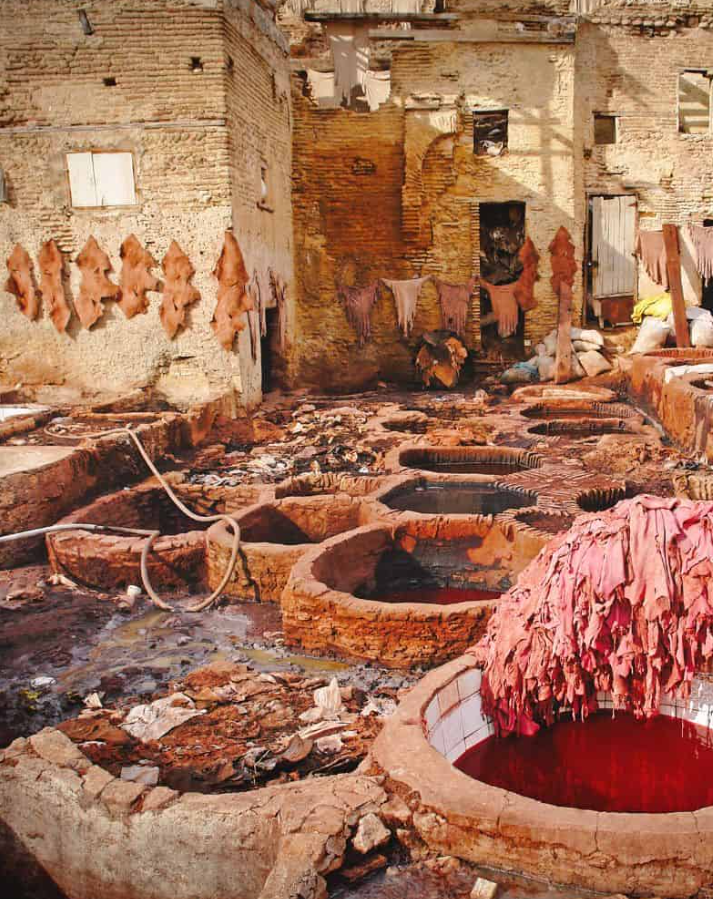 Chouara Tannery
