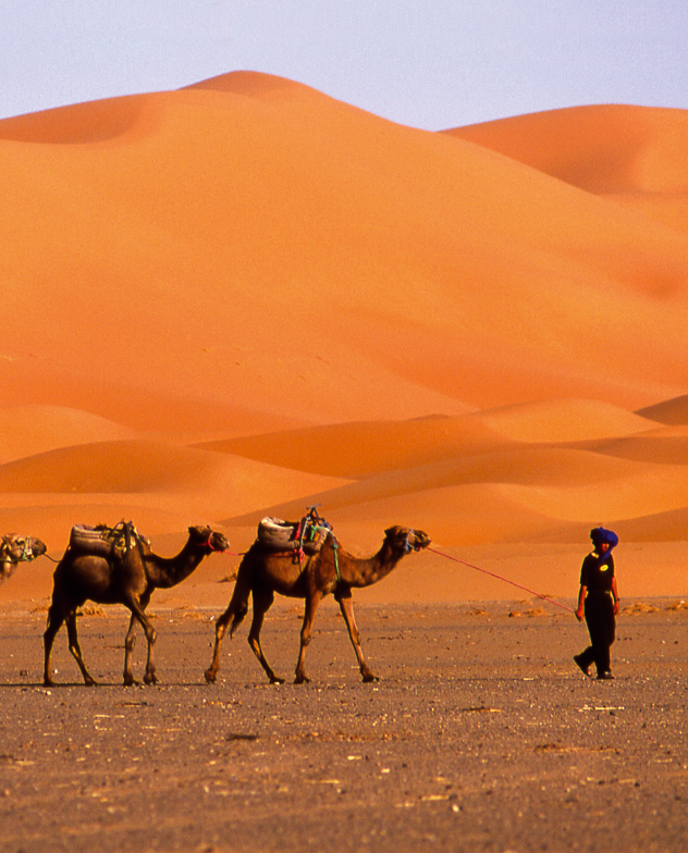 Erg Chebbi Dunes