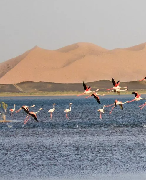 Lake Dayet Srij