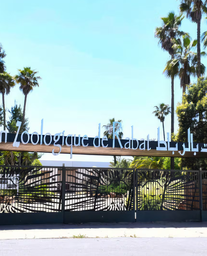 Zoological Garden